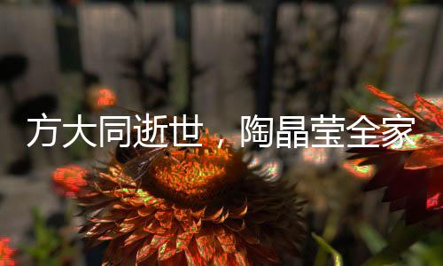 方大同逝世，陶晶莹全家悲痛悼念