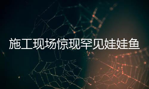 施工现场惊现罕见娃娃鱼，一条鱼的奇幻之旅揭秘保护之路