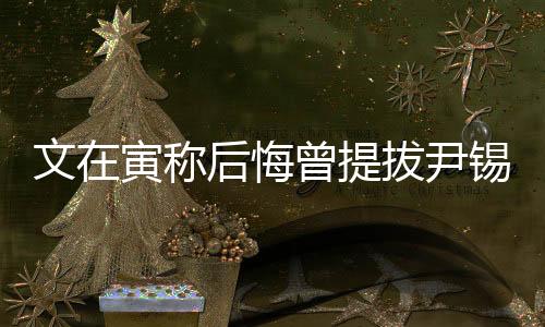 文在寅称后悔曾提拔尹锡悦，决策背后的故事与反思