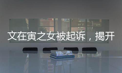 文在寅之女被起诉，揭开事件真相的序幕