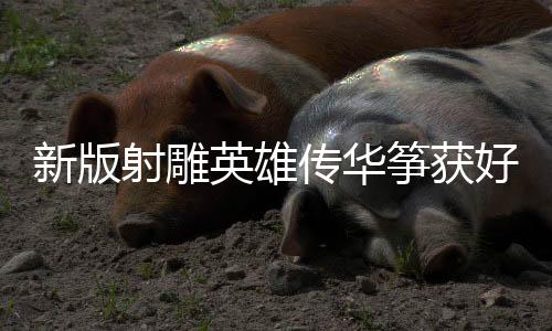 新版射雕英雄传华筝获好评