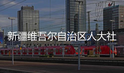 新疆维吾尔自治区人大社会建设委员会主任委员张岩被查