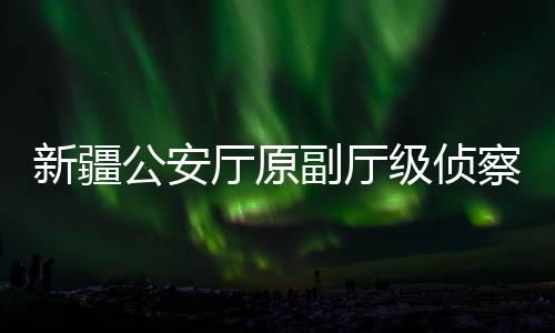 新疆公安厅原副厅级侦察员黄河被查，揭露案件细节引人深思