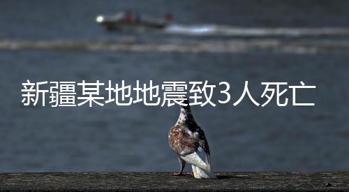 新疆某地地震致3人死亡传闻系假——辟谣与解析