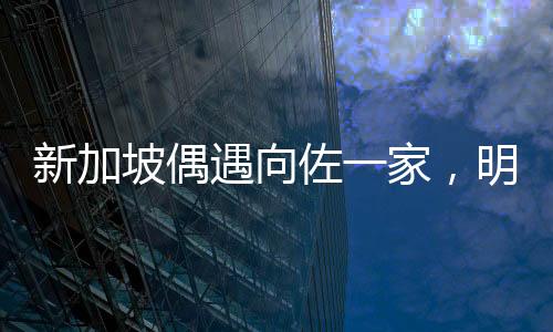新加坡偶遇向佐一家，明星家庭的温馨瞬间