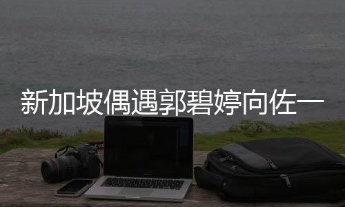 新加坡偶遇郭碧婷向佐一家，星光熠熠的亲子游