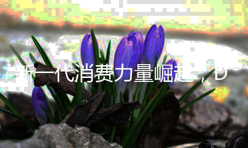 新一代消费力量崛起，DeepSeek一天吸引逾3.3亿交易，瞄准零零后市场趋势解析