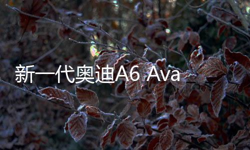 新一代奥迪A6 Avant实拍，豪华与运动风格的完美结合
