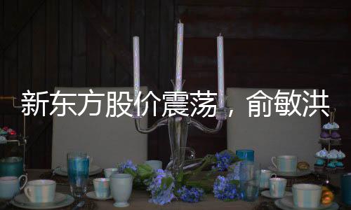 新东方股价震荡，俞敏洪遭遇余震挑战