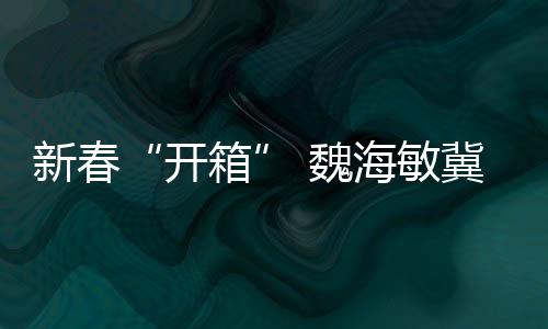新春“开箱” 魏海敏冀两岸共同弘扬传统戏曲