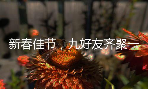新春佳节，九好友齐聚一堂共贺父母拜年之喜