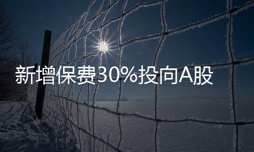 新增保费30%投向A股市场，保险业资本配置的新动向