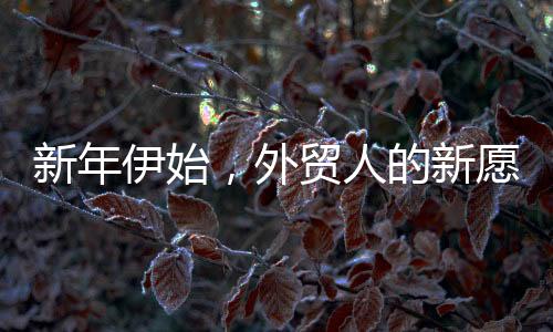 新年伊始，外贸人的新愿景——在外贸行业中探索前行的心路历程