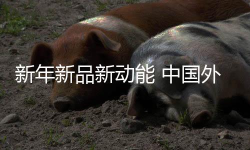 新年新品新动能 中国外贸含“新”量超高