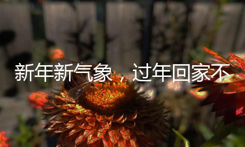 新年新气象，过年回家不玩手机，这些事情值得一试