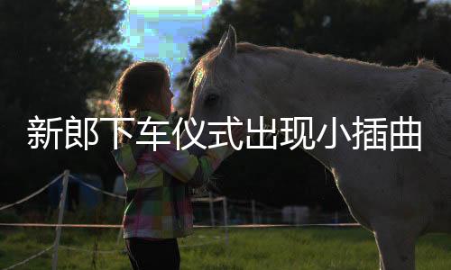 新郎下车仪式出现小插曲，重新开启幸福旅程