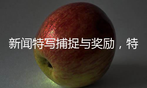 新闻特写捕捉与奖励，特殊环境下的蚊子捕获任务，奖励机制引热议