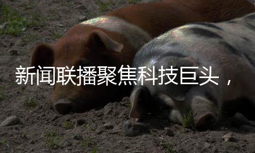 新闻联播聚焦科技巨头，王传福与雷军共同亮相荧屏大放异彩
