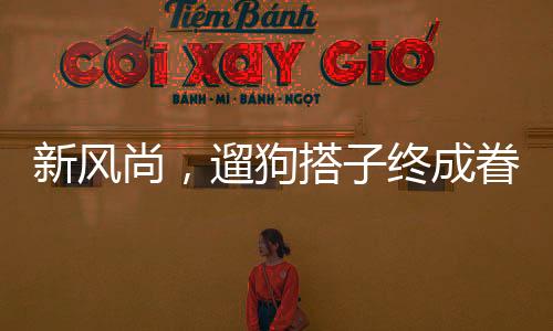 新风尚，遛狗搭子终成眷属，婚礼随份子时狗狗名字成亮点