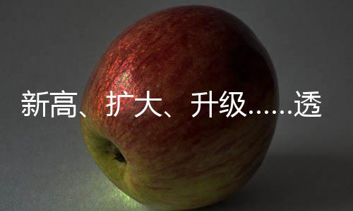 新高、扩大、升级……透过关键词看外企坚定投资中国