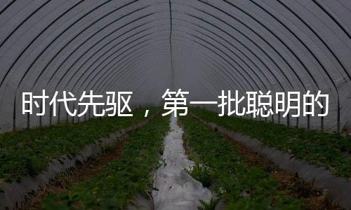 时代先驱，第一批聪明的人已经堵路上了