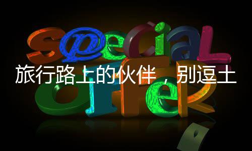 旅行路上的伙伴，别逗土拨鼠