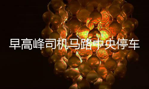 早高峰司机马路中央停车买早餐，城市管理与交通安全的新思考