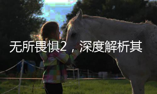 无所畏惧2，深度解析其成为观众心头好的原因