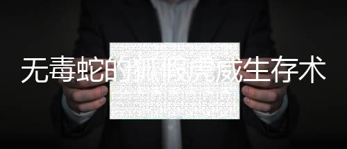 无毒蛇的狐假虎威生存术