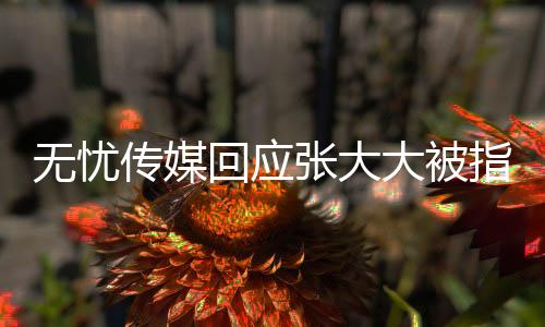 无忧传媒回应张大大被指霸凌员工，真相究竟如何？