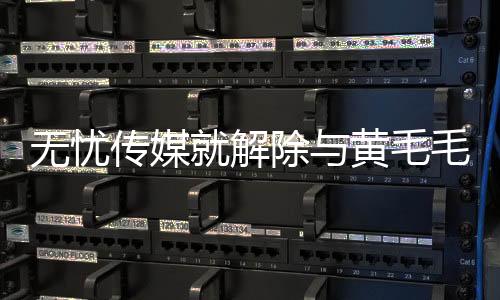 无忧传媒就解除与黄毛毛合约一事作出回应