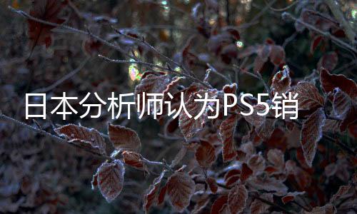日本分析师认为PS5销量虚高 而NS2将大卖特卖