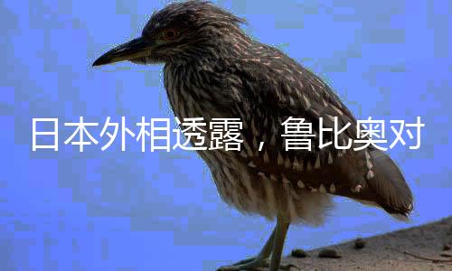 日本外相透露，鲁比奥对中国态度转向，不再那么强硬？