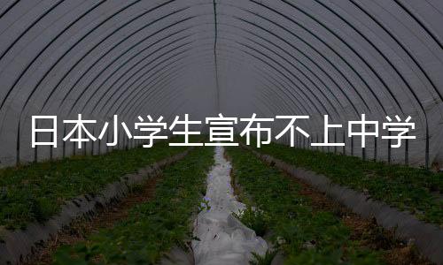日本小学生宣布不上中学引热议 游戏直播过的很好