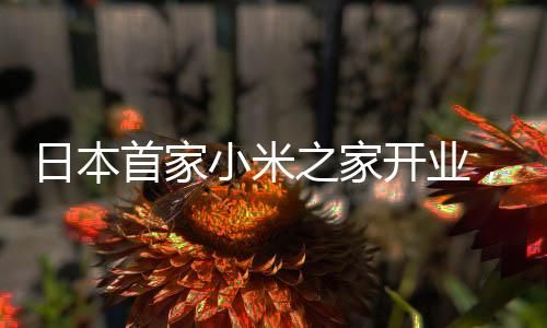日本首家小米之家开业，人气火爆引领科技潮流新篇章