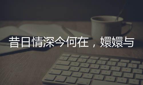 昔日情深今何在，嬛嬛与四郎的微信牵绊