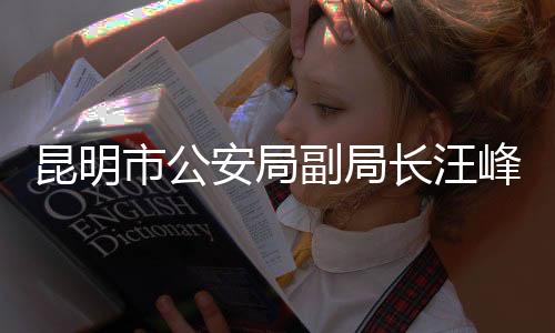 昆明市公安局副局长汪峰拟升任新职