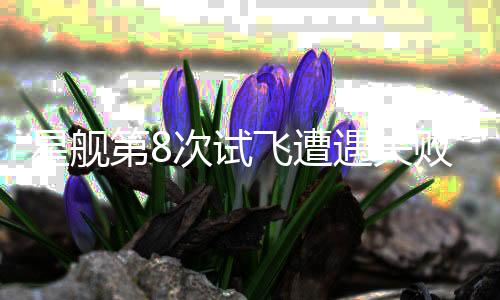 星舰第8次试飞遭遇失败，飞船空中解体——最新科技与未来展望报告（分析标题）