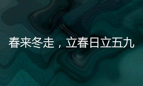 春来冬走，立春日立五九尾之时——探寻正月立春的奥秘与诗意