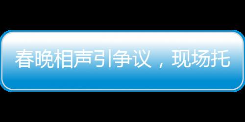 春晚相声引争议，现场托儿成疑，艺术表现与现实距离逐渐模糊？