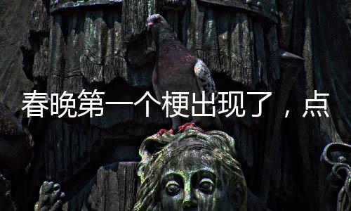 春晚第一个梗出现了，点燃全民欢乐之夜的一把火