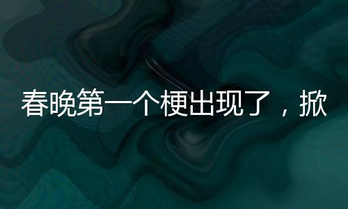 春晚第一个梗出现了，掀起全民欢乐的热潮
