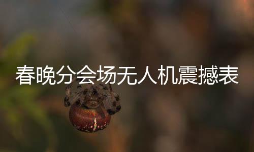 春晚分会场无人机震撼表演，科技与艺术的完美融合