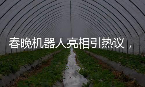 春晚机器人亮相引热议，下场时脚步引发关注