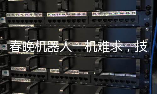 春晚机器人一机难求，技术与文化的融合引发关注热潮