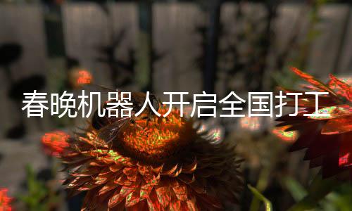 春晚机器人开启全国打工热潮，引领智能时代新篇章