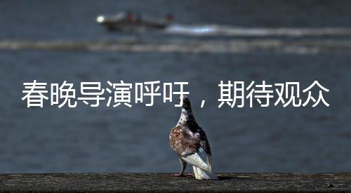 春晚导演呼吁，期待观众对我们宽容以待