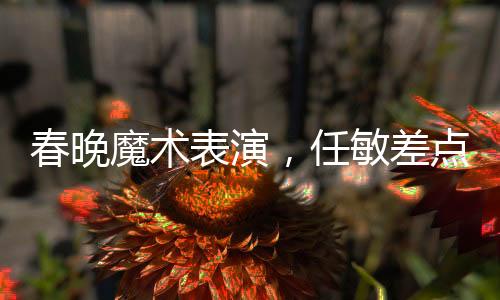 春晚魔术表演，任敏差点撕错纸，魔术背后的紧张瞬间