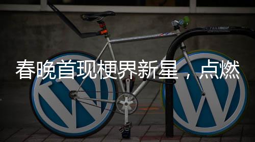 春晚首现梗界新星，点燃全民欢乐之夜