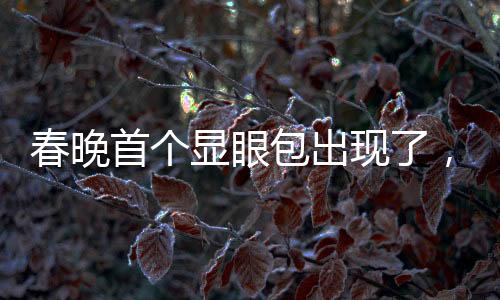 春晚首个显眼包出现了，揭秘舞台上的独特亮点